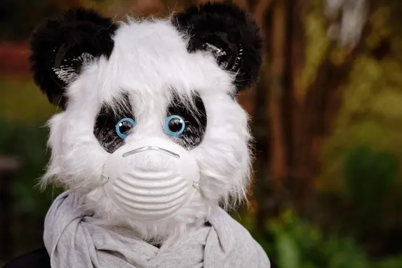 TopBet Kasino Podpora